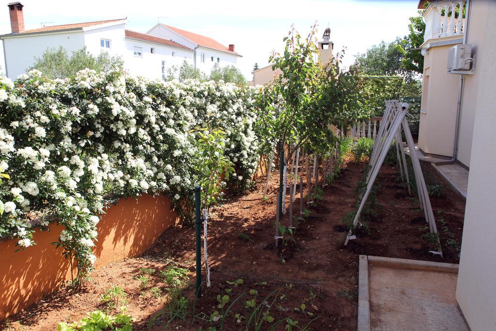 Apartments Kata Biograd Na Moru Εξωτερικό φωτογραφία